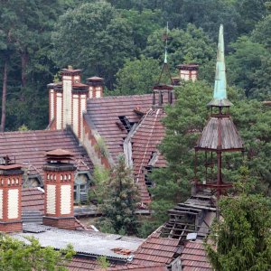 2017 - Beelitz Heilstätten - Baumwipfelpfad