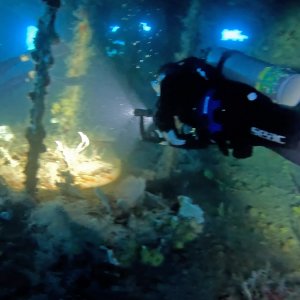 Wracks bei Bayahibe 2025